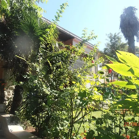 Apartment Polomcic